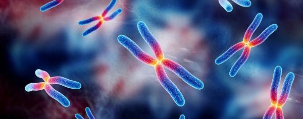 Учёные изучили мутировавший ген TRAF7, ставший причиной сложных заболваний