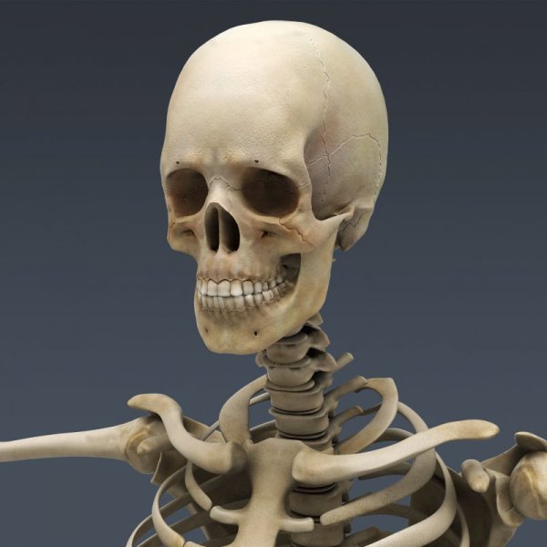 В Линкольне найдены три прекрасно сохранившихся римских скелета