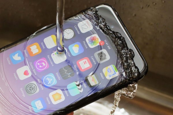 Эксперт: Для подводной съемки на iPhone X не требуется специальное оборудование