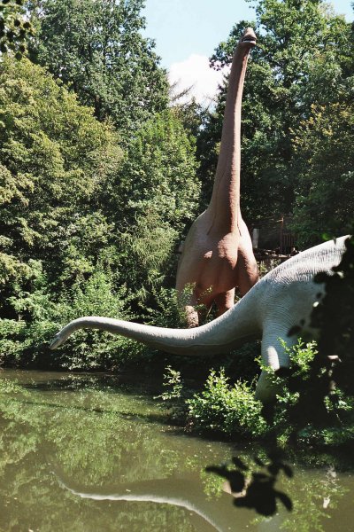 Ученые: Самый крупный из найденных следов динозавров оставил брахиозавр