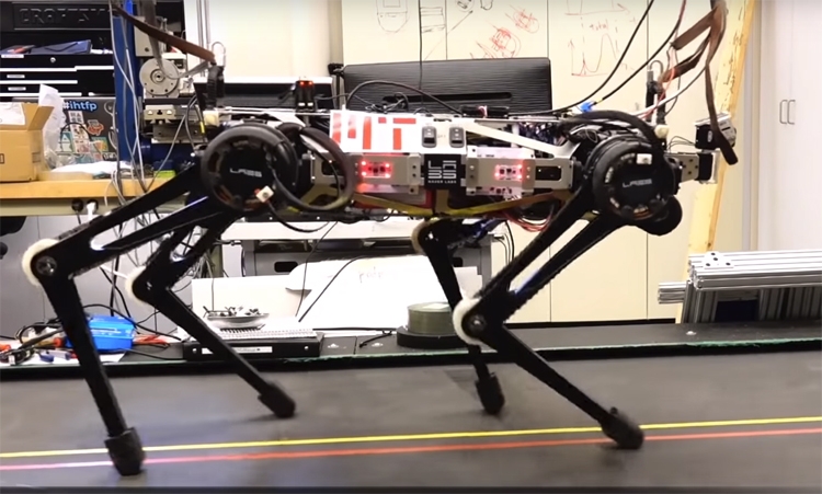 Видео дня: робот Cheetah 3 демонстрирует различные стили движения