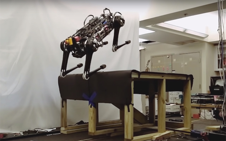 Видео дня: робот Cheetah 3 демонстрирует различные стили движения